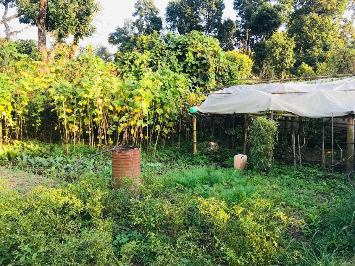 Hom'S Homestay & Farmstay Sarangkot 博卡拉 外观 照片