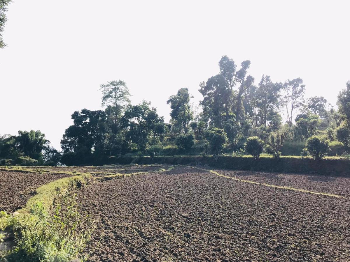 Hom'S Homestay & Farmstay Sarangkot 博卡拉 外观 照片