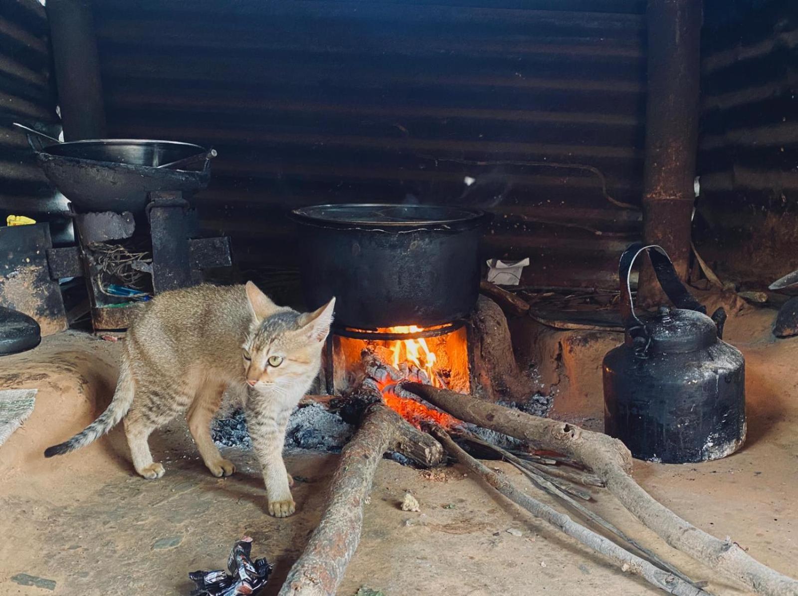 Hom'S Homestay & Farmstay Sarangkot 博卡拉 外观 照片